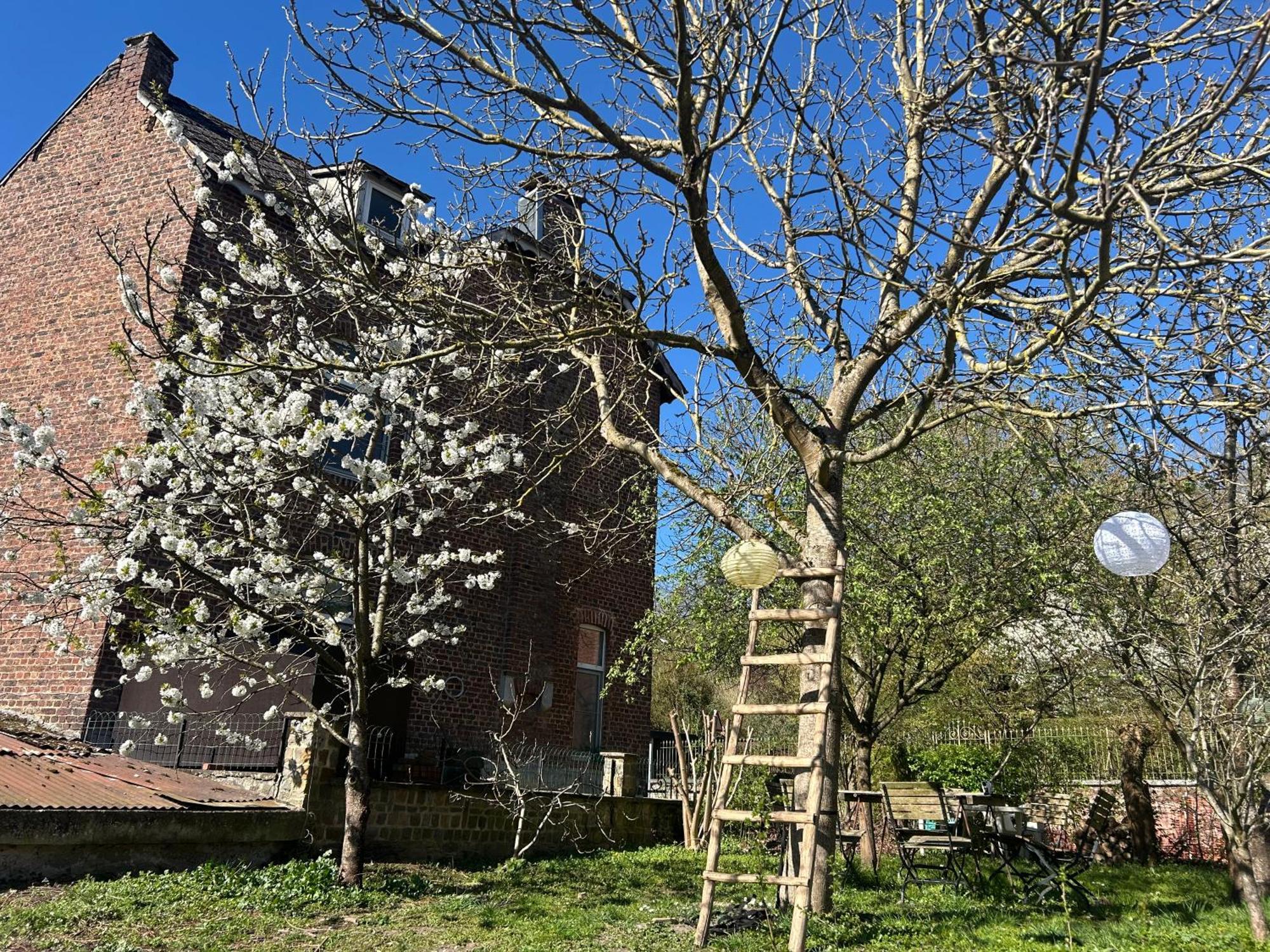 Ferienwohnung 2Pas2Meuse Waulsort Exterior foto